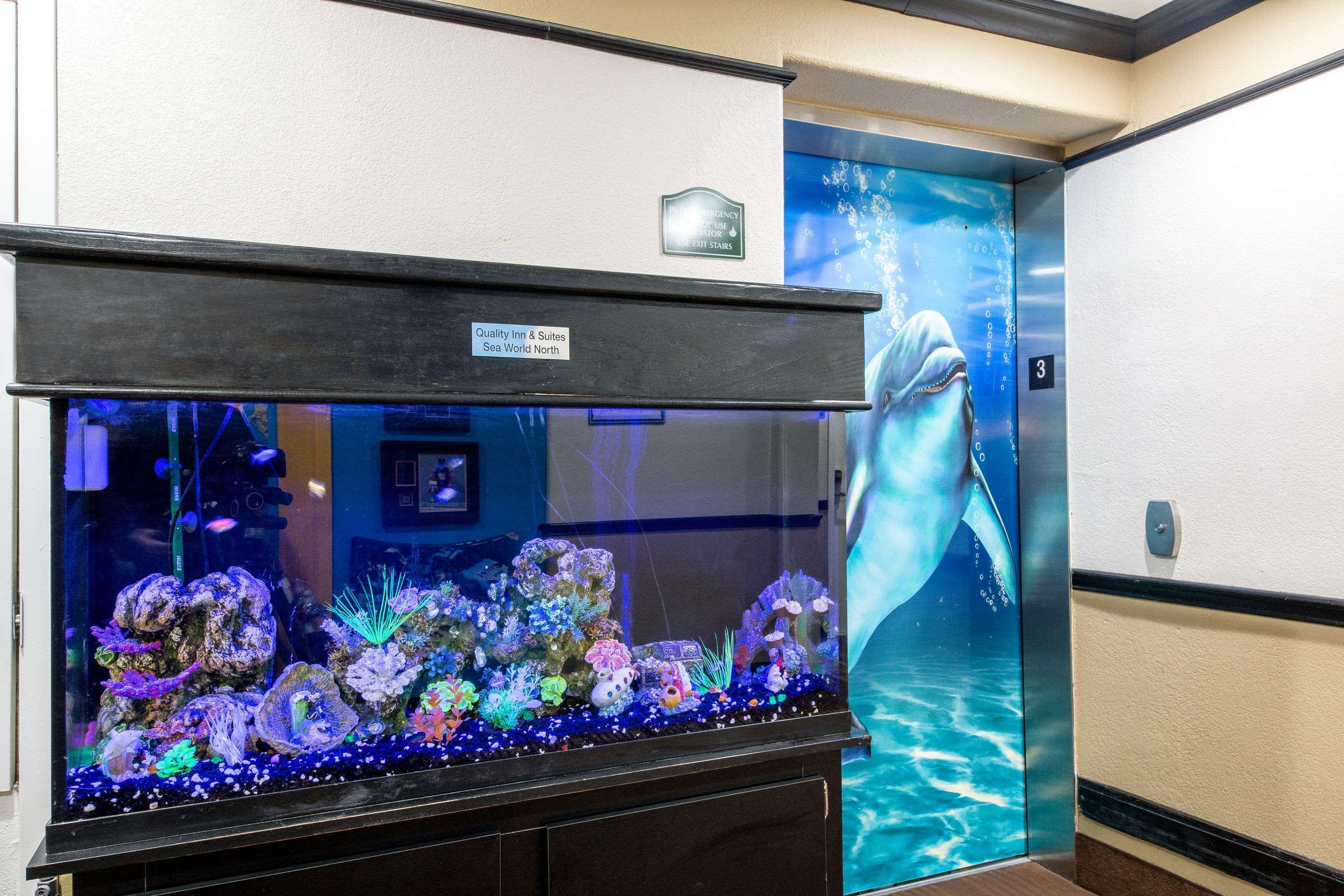 Quality Inn & Suites Seaworld North San Antonio Buitenkant foto